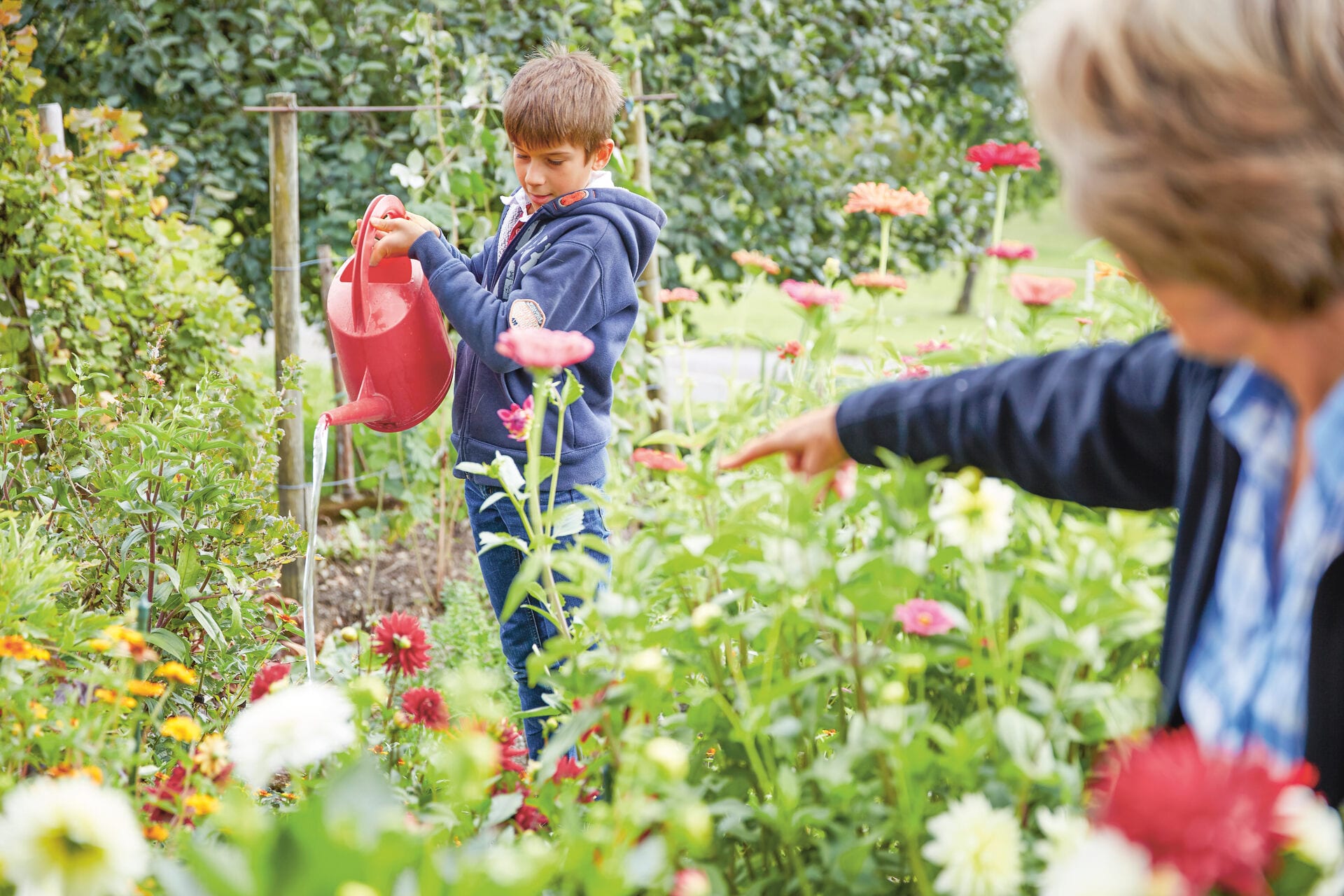 Les enfants arrosent des fleurs dans le jardin.