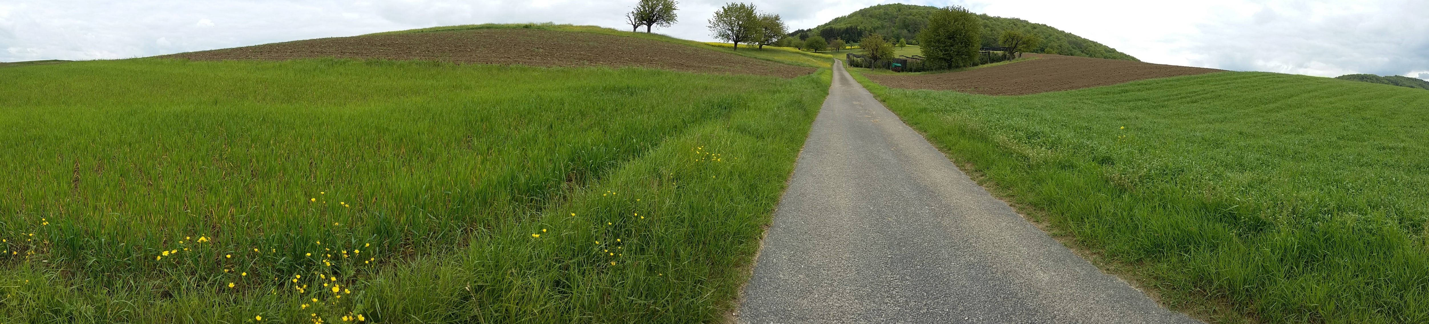 Protection Contre Le Ruissellement De Surface Magden Aspmetgraben