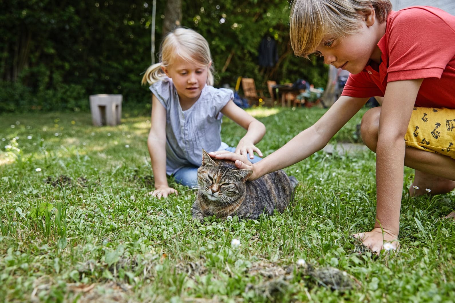 Zwei Kinder streicheln eine Katze