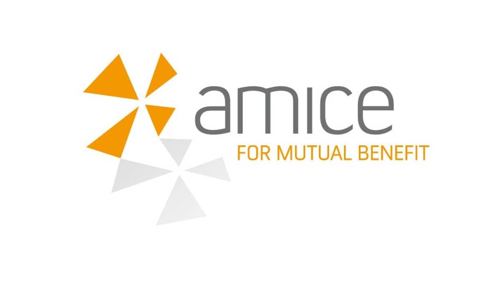 Logo Amice