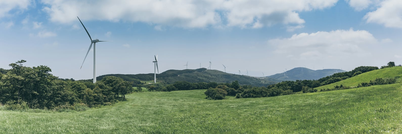 Eine grüne Wiese mit Windrädern.
