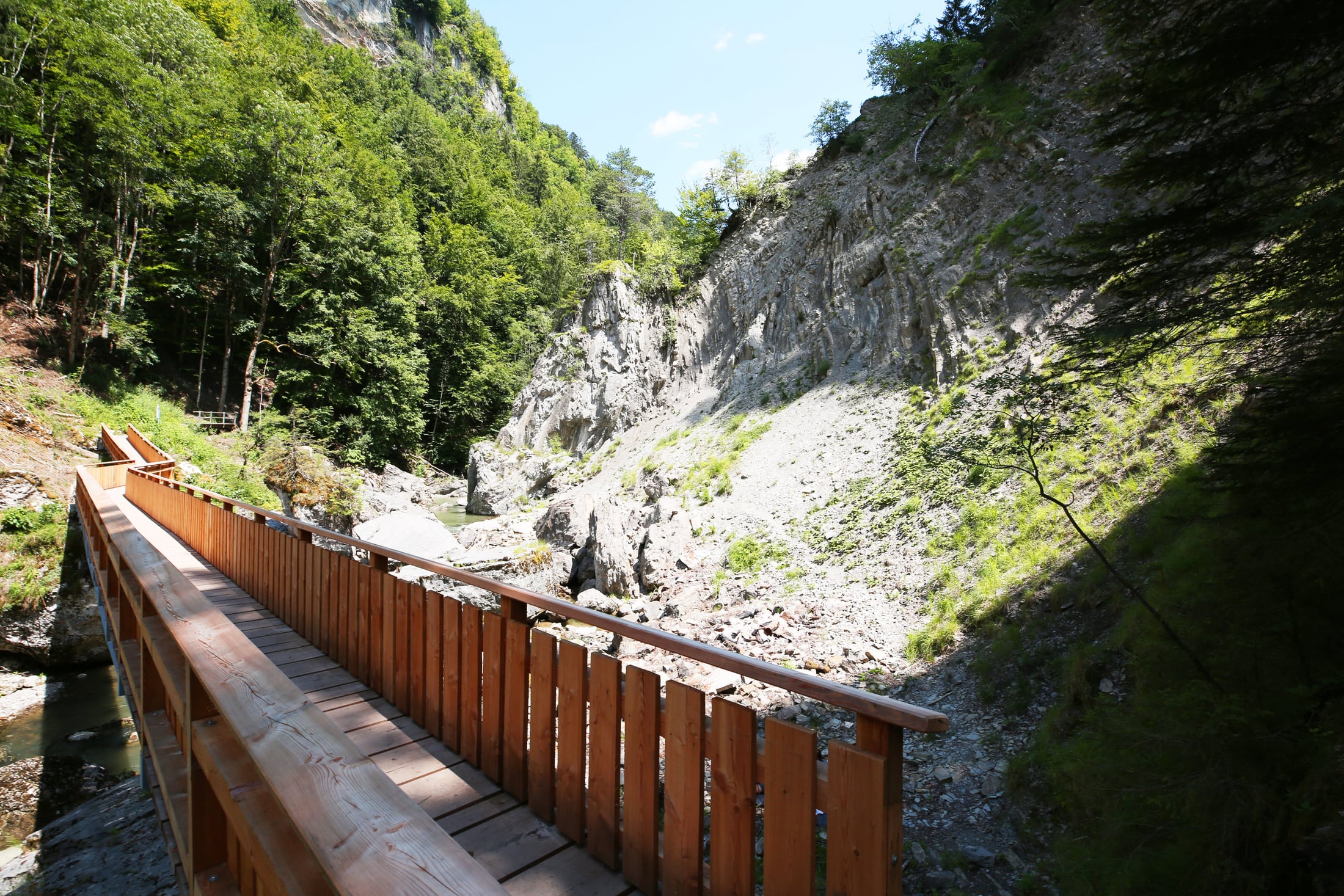 Remplacement d’un pont dans les gorges de la rivière de la Jaun, Broc, Châtel-sur-Montsalvens (FR)