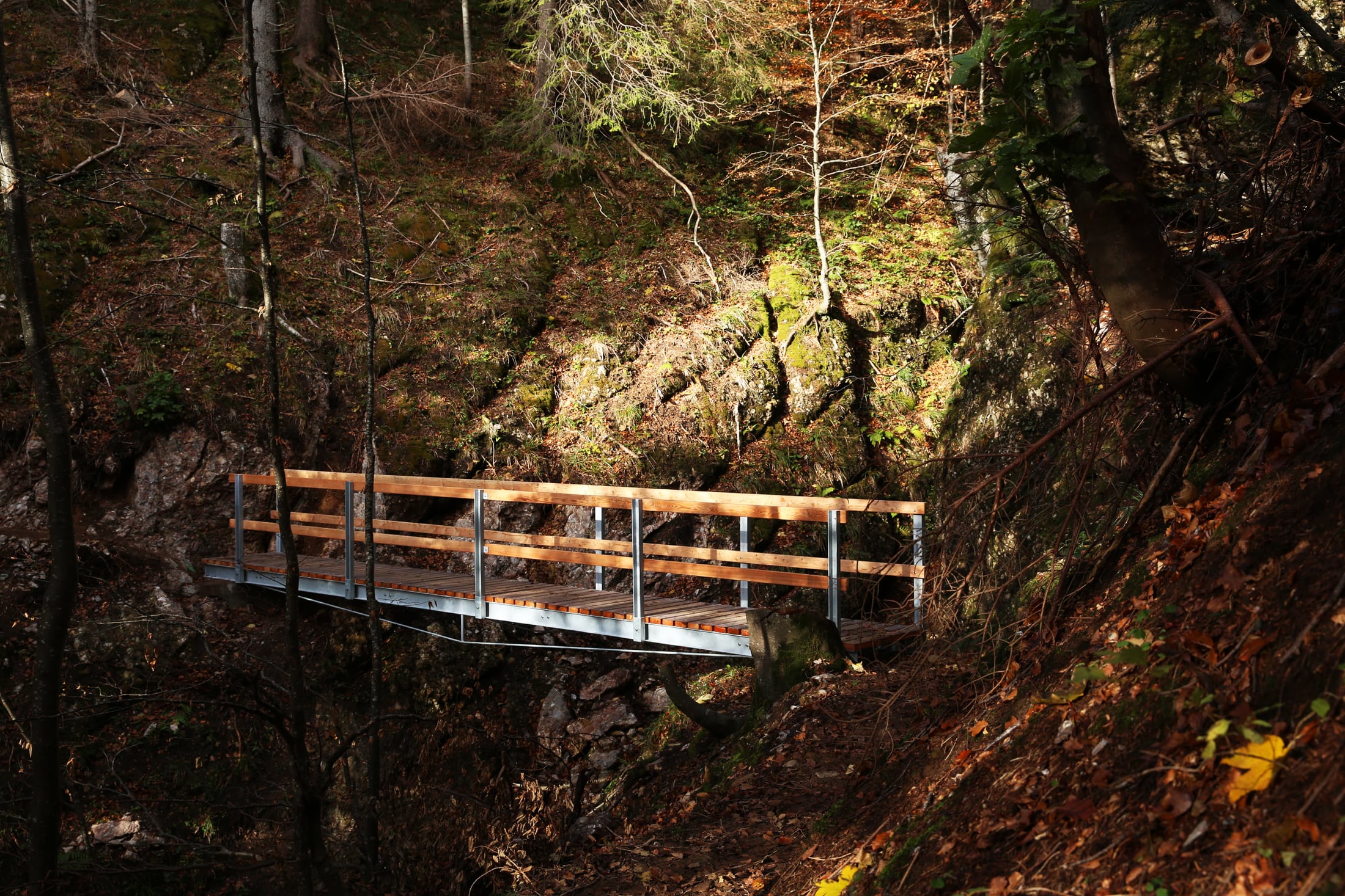 Remplacement du pont Schwanten-Ziegelbach, Schänis (SG)