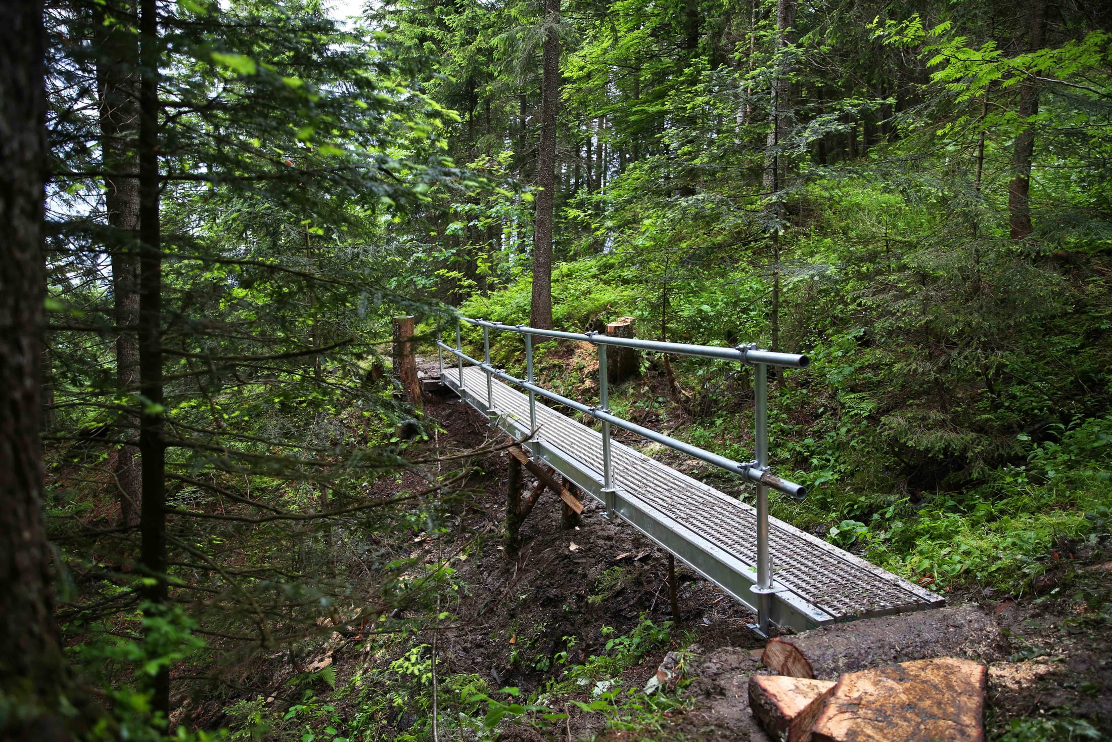 Ersatz dreier Stege bei Rothenthurm (SZ)