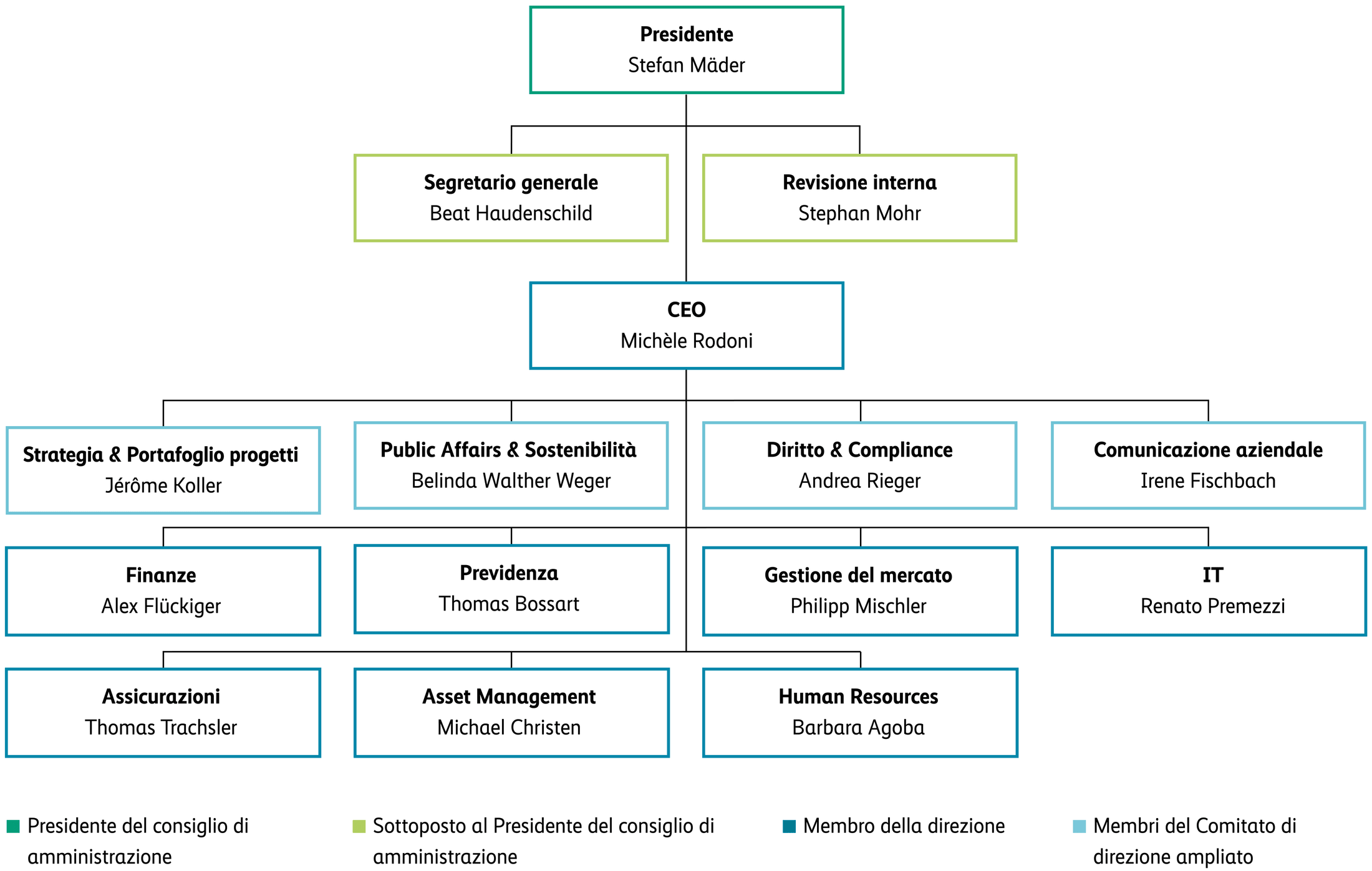Struttura di gestione Organigramma