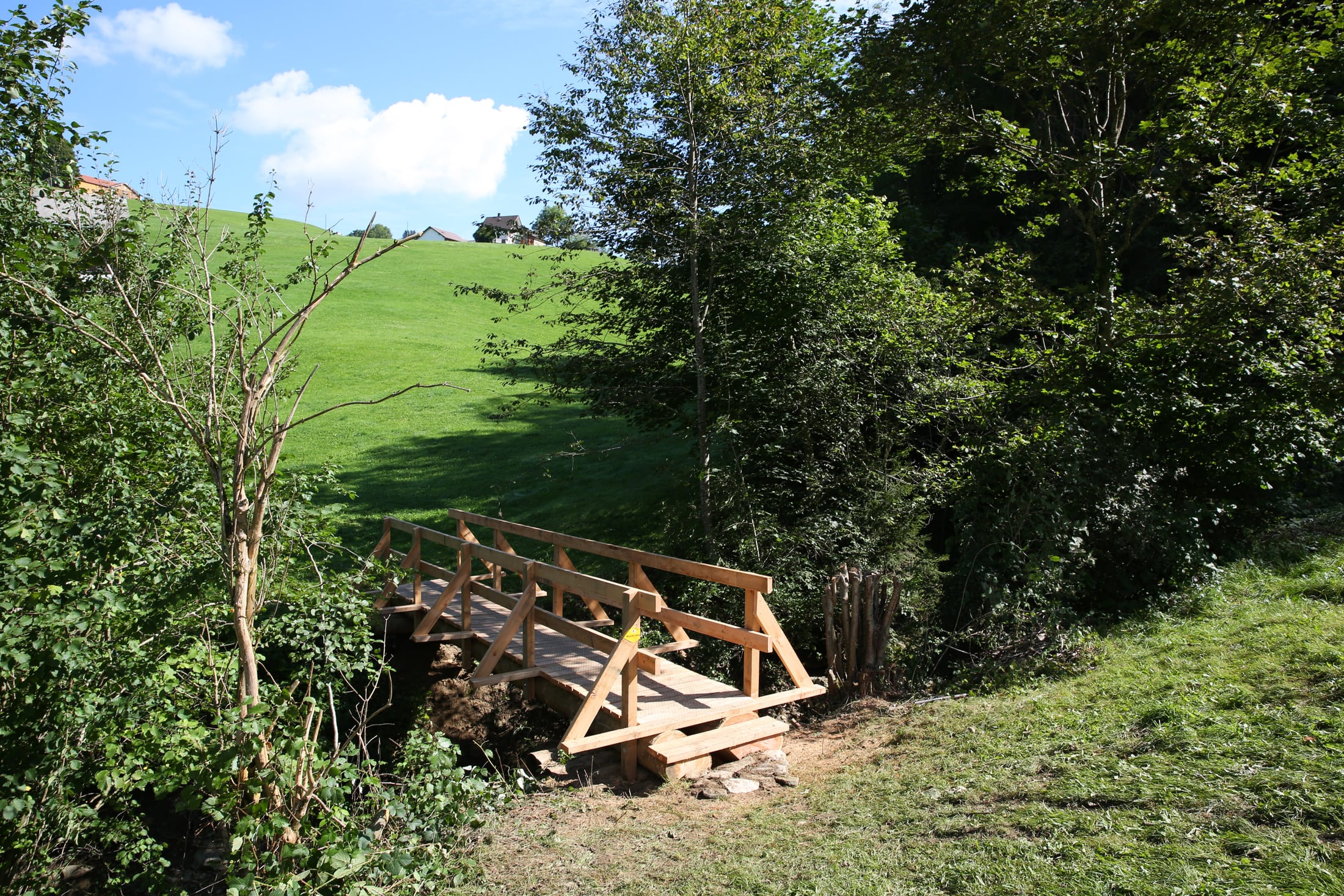 Remplacement du pont nord sur le Steigbach, Bühler (AR)