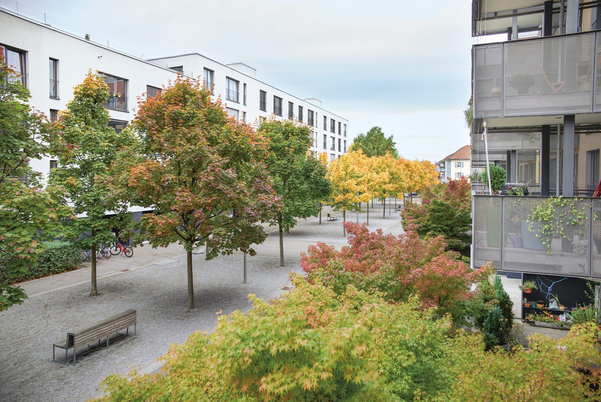 Lotissement arborisé en automne