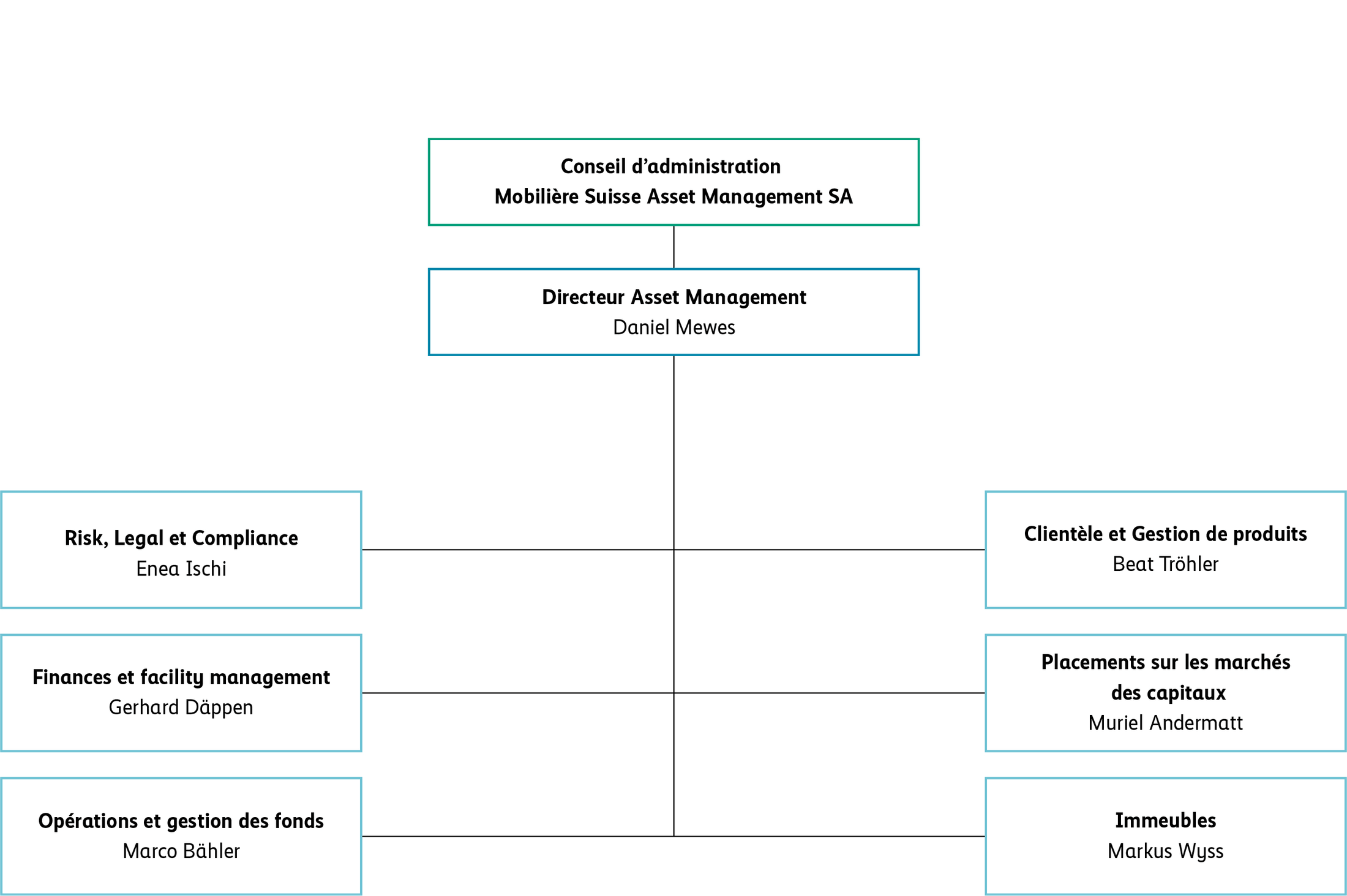 Organigramme de l’Asset Management