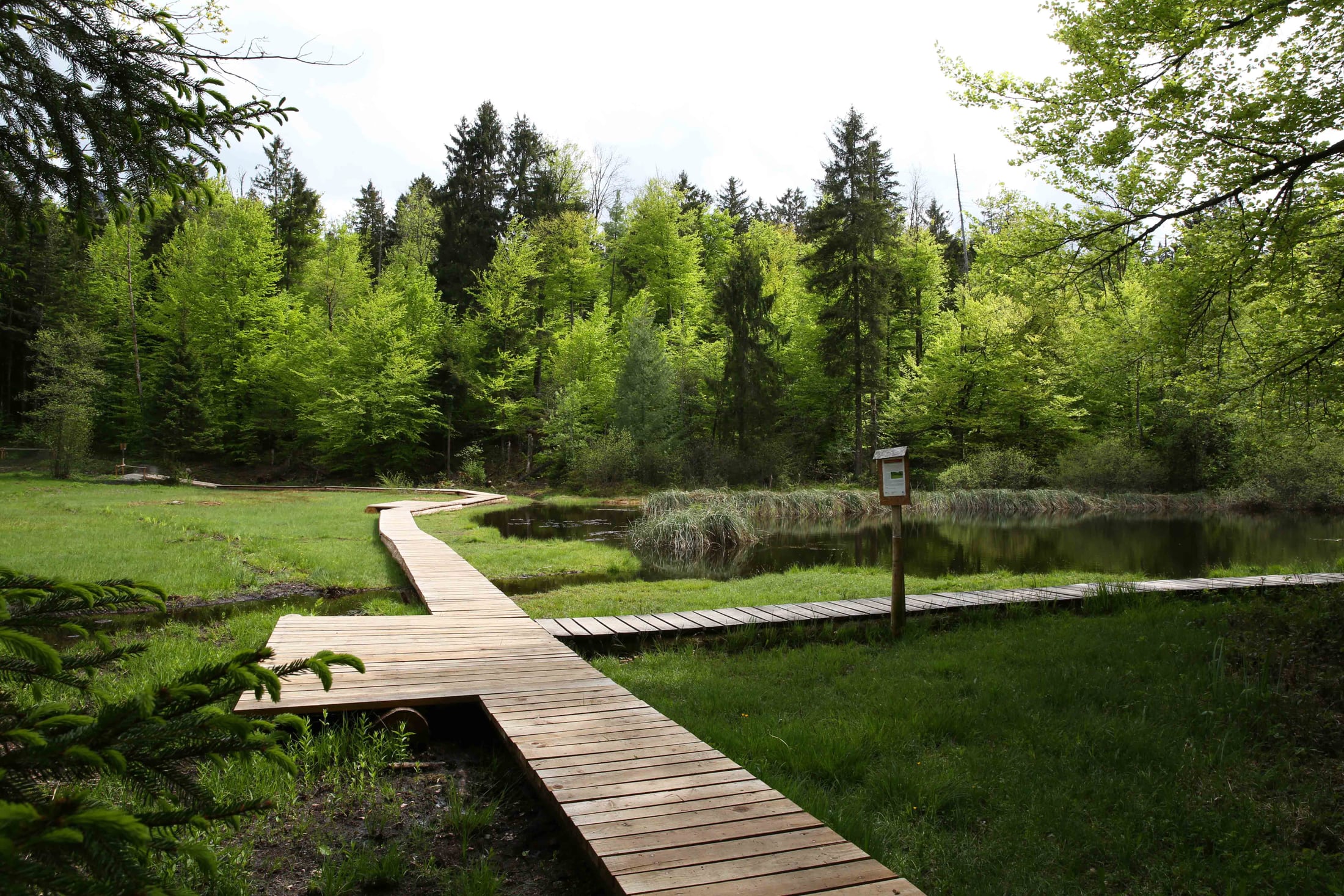 Erneuerung des Hochmoor-Stegs am Gerzenseeli bei Kerns (OW)