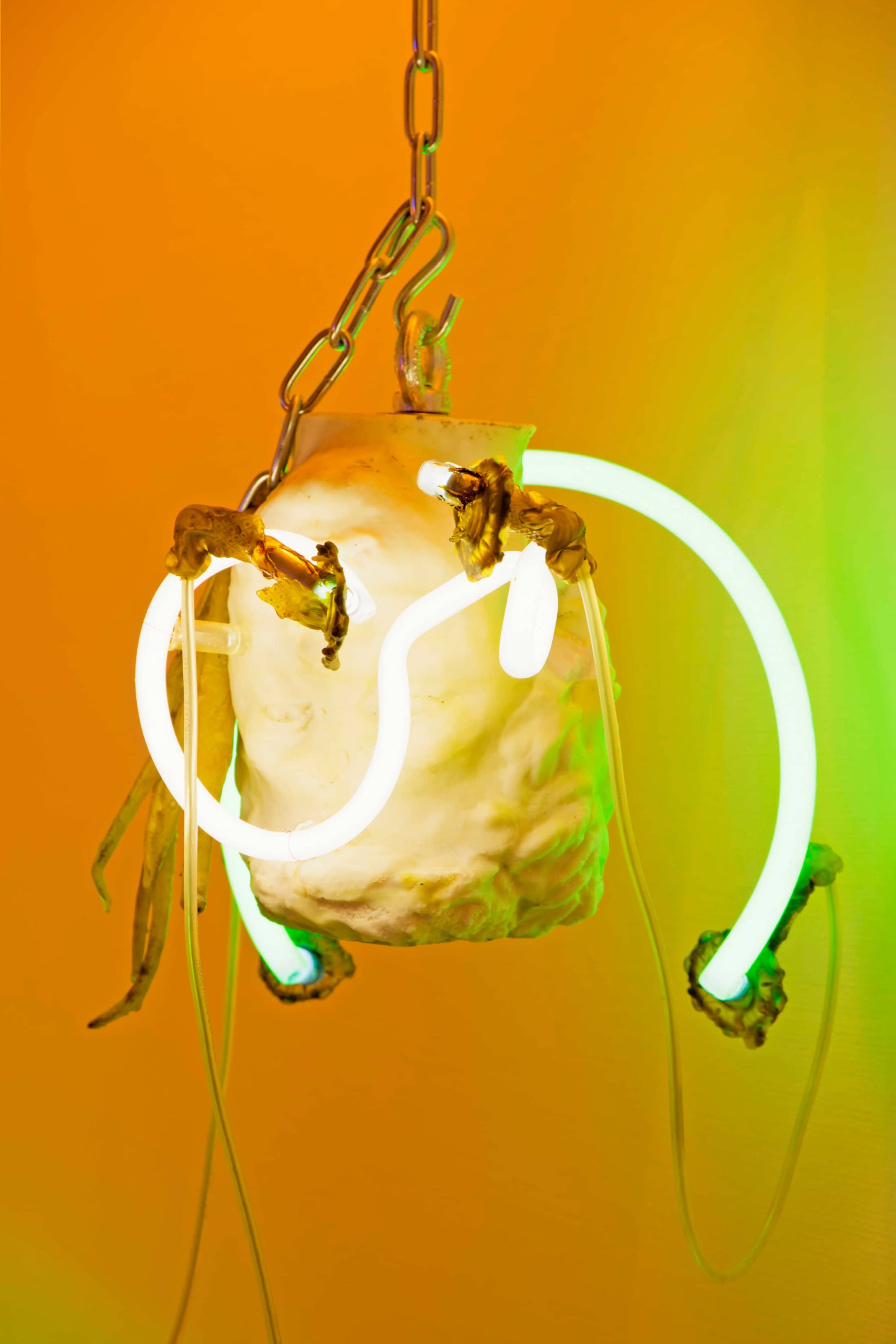 Kunstdarstellung von Chloé Delarue, anlässlich Prix mobilière 2023