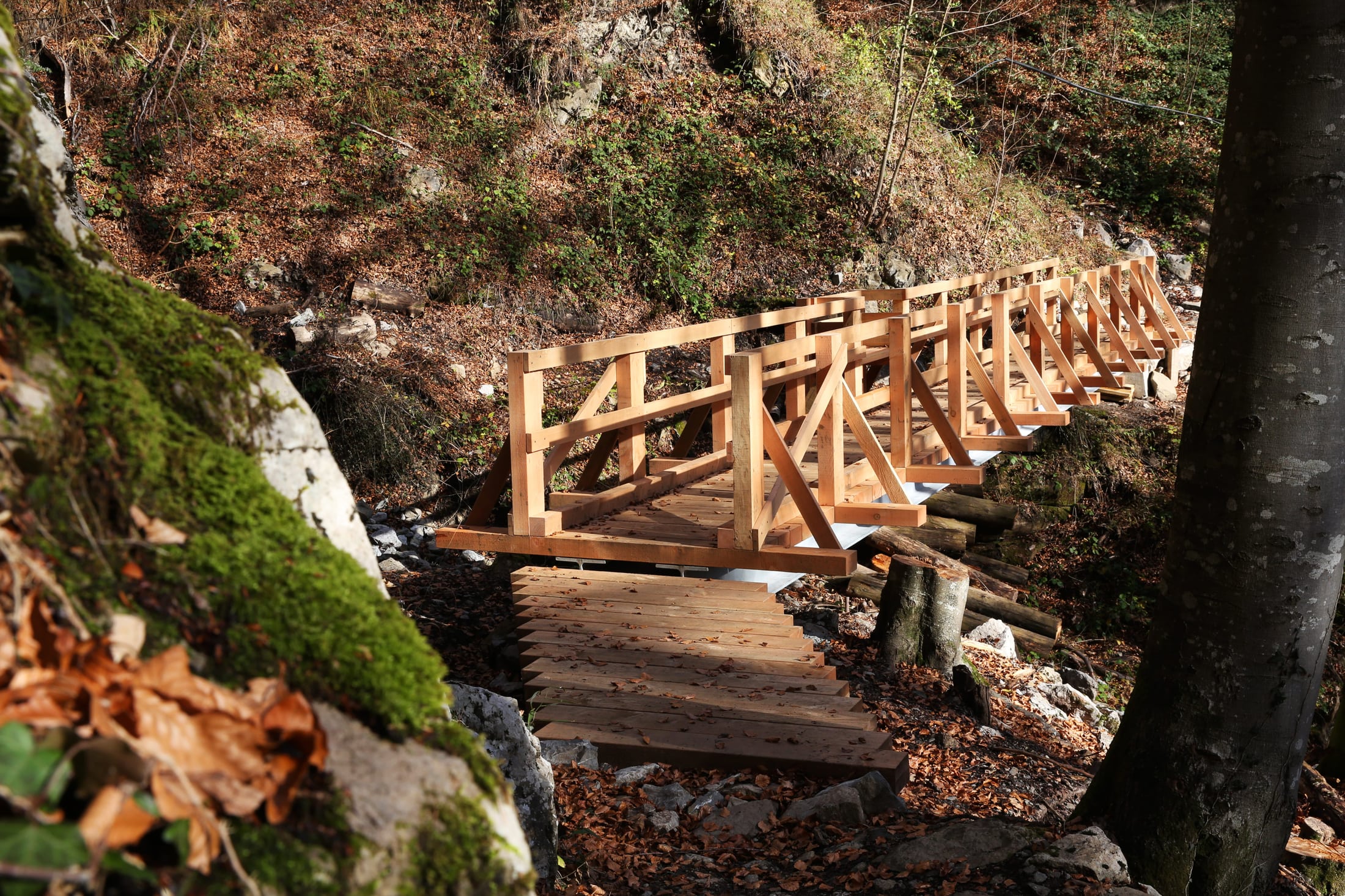 Remplacement du pont Bärfalle/Fallenbach, Ingenbohl (SZ)