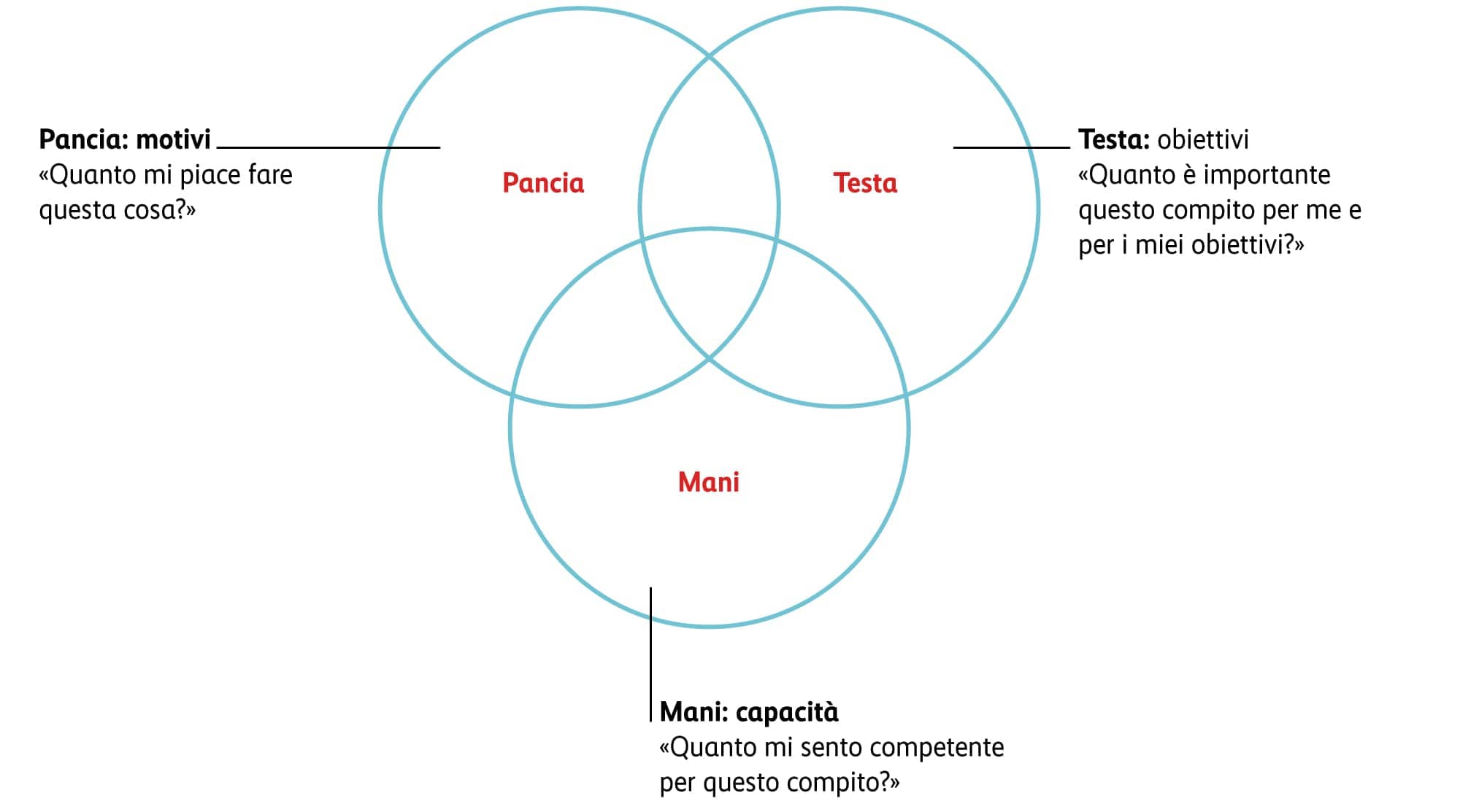 Grafico sui fattori di motivazione: testa, pancia e mani 