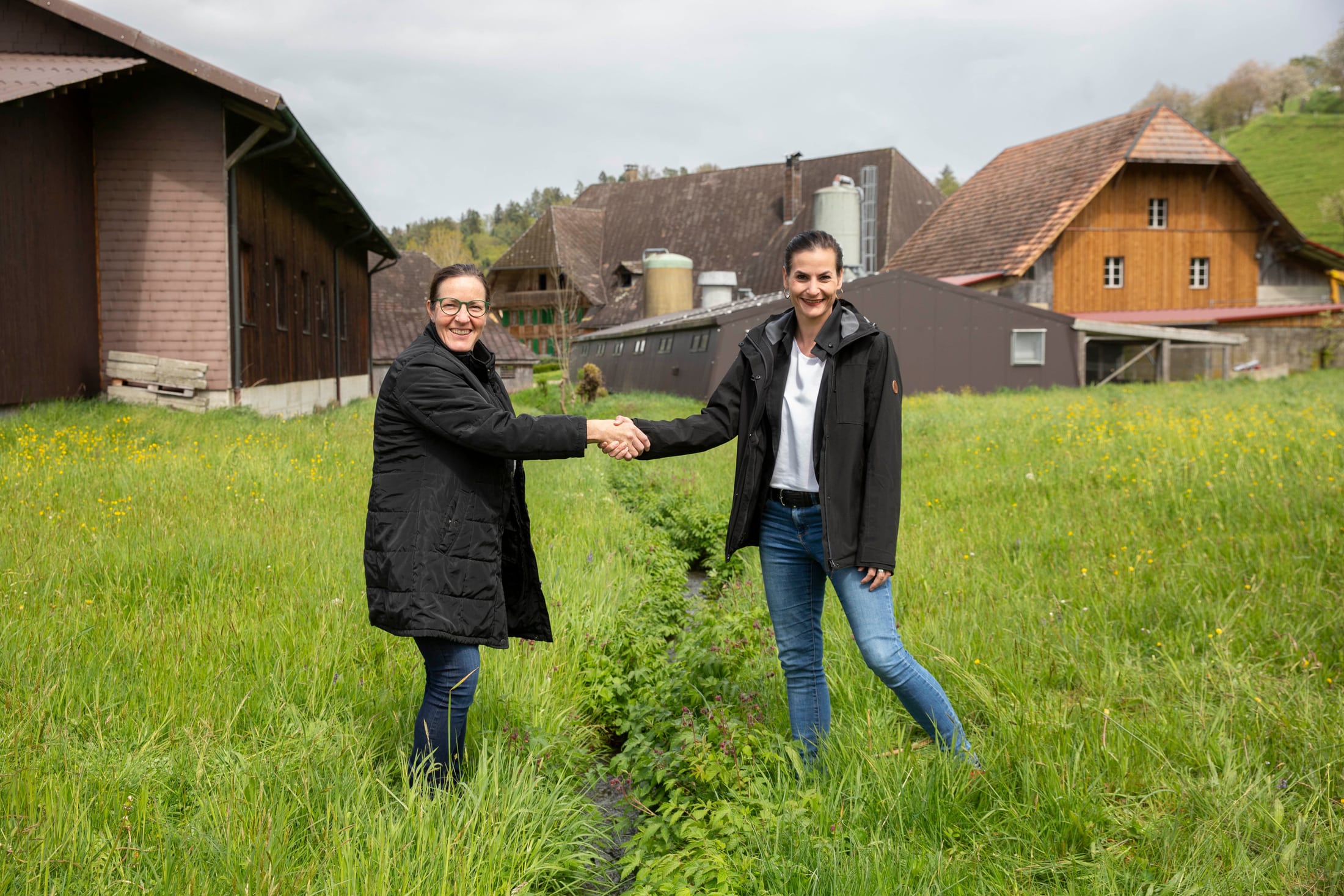 Präventionsprojekt in Rohrbachgrabe, zwei Personen geben sich auf einem Feld die Hand. 