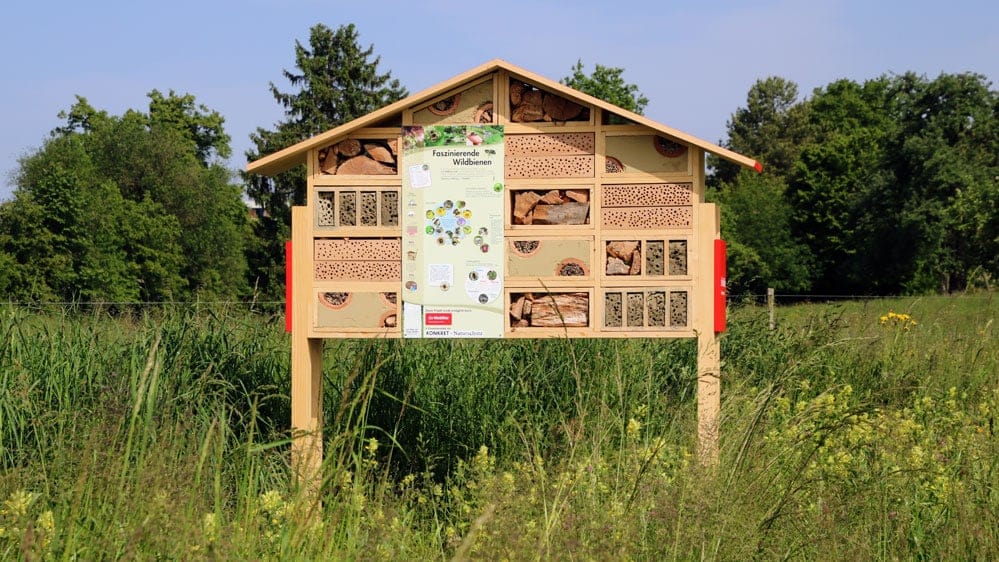 Blumiges Heim für Wildbienen