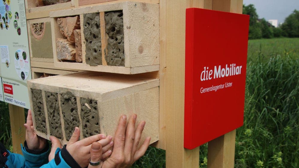 Blumiges Heim für Wildbienen inkl. Logo die Mobiliar