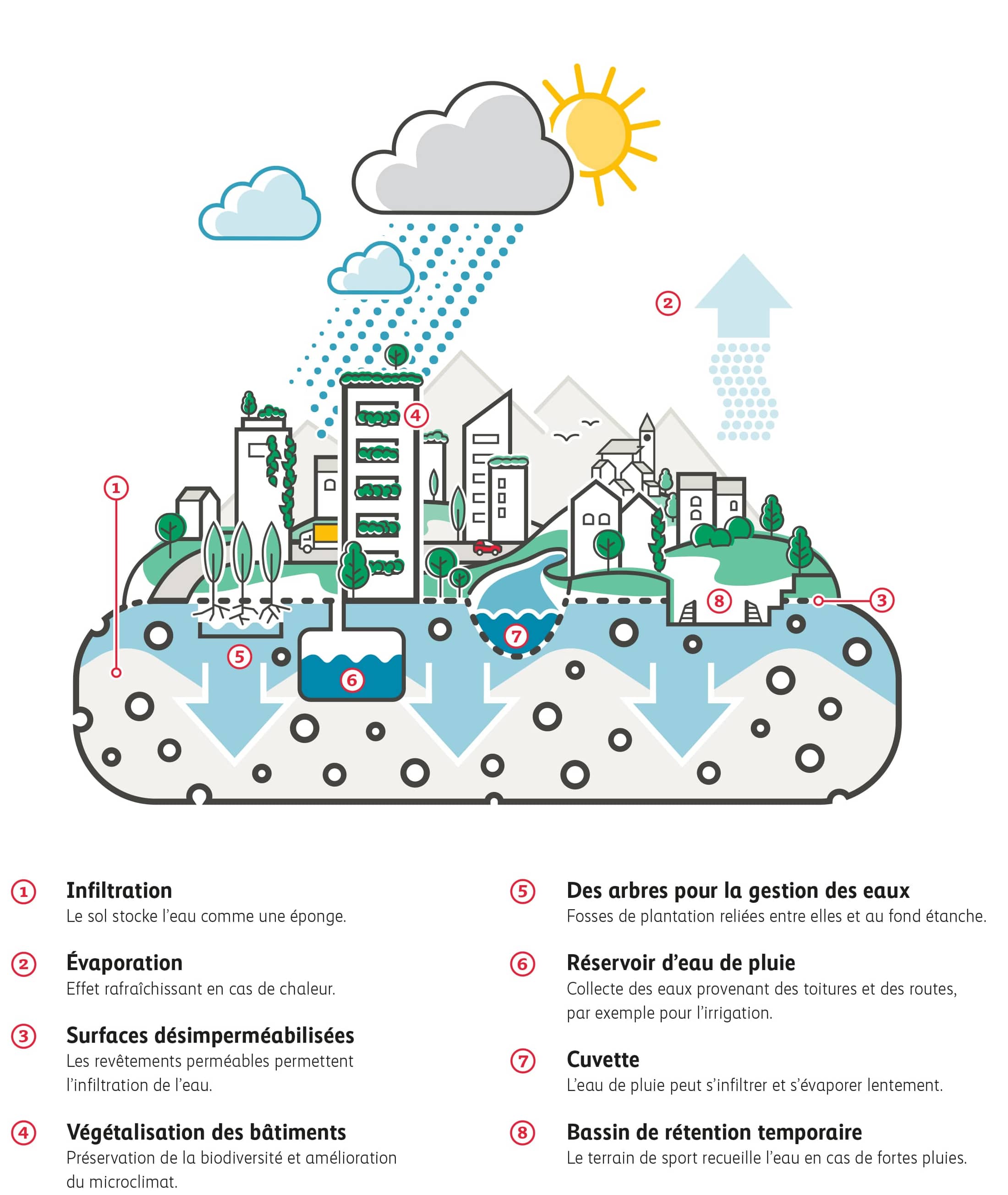 Graphique expliquant le modèle de ville éponge