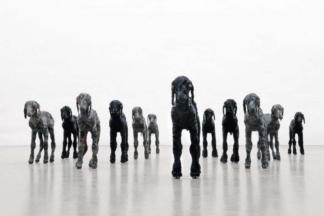 douze figures noires de chiens