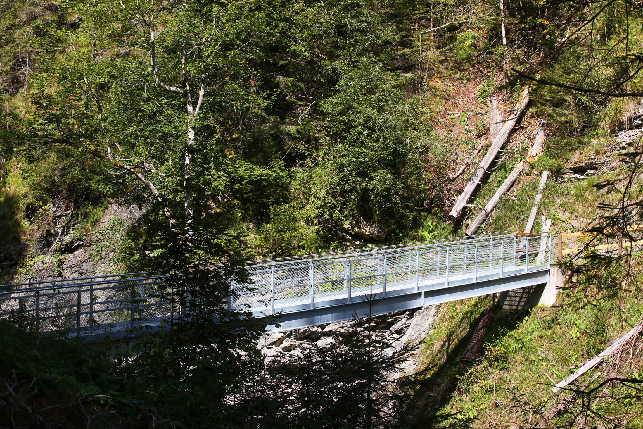 Remplacement du pont sur le chemin de randonnée Otteren, Frutigen (BE)