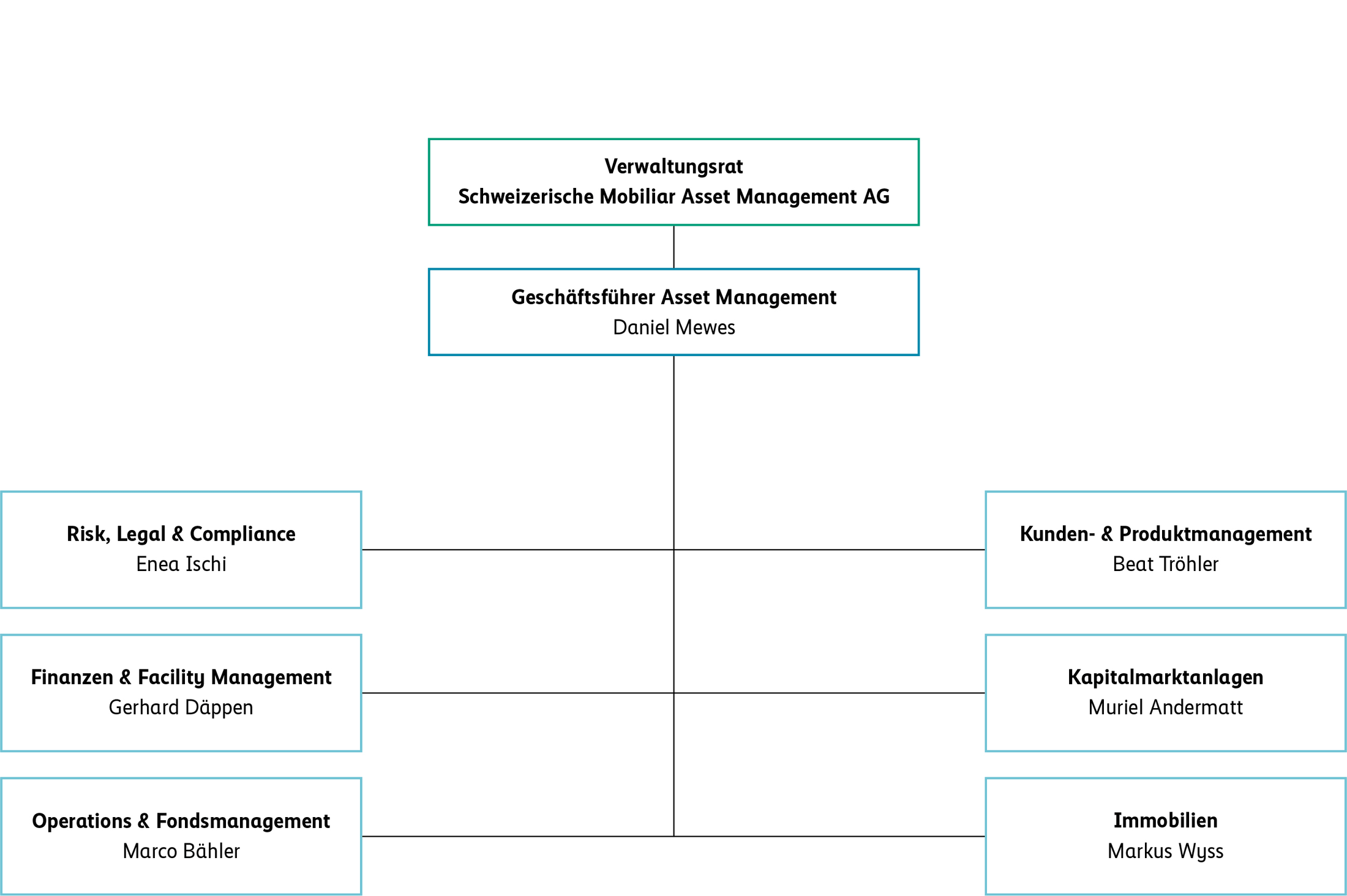 Asset Management Organigramm