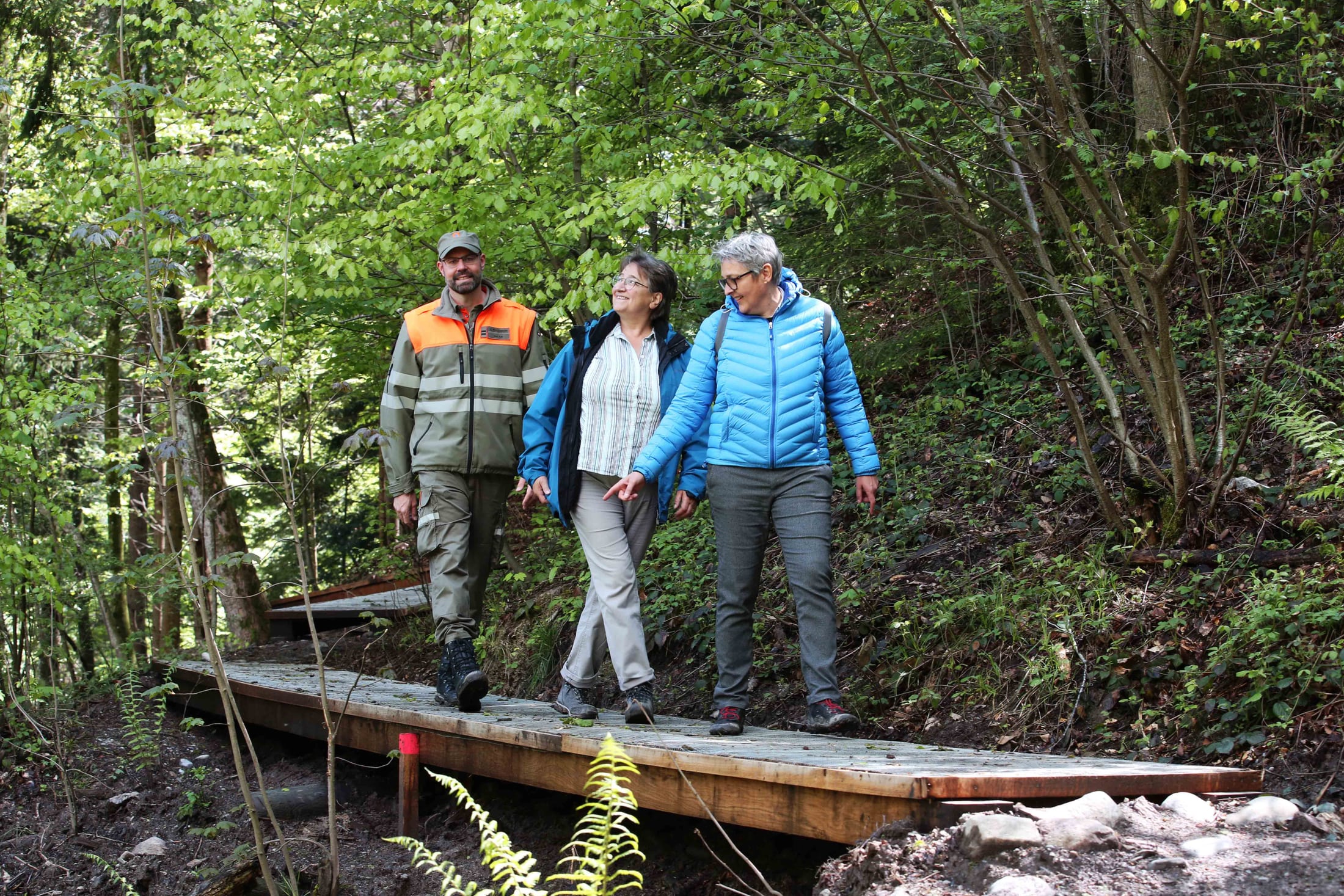 Ersatz dreier Stege im Winzwilerwald bei Menzingen (ZG)